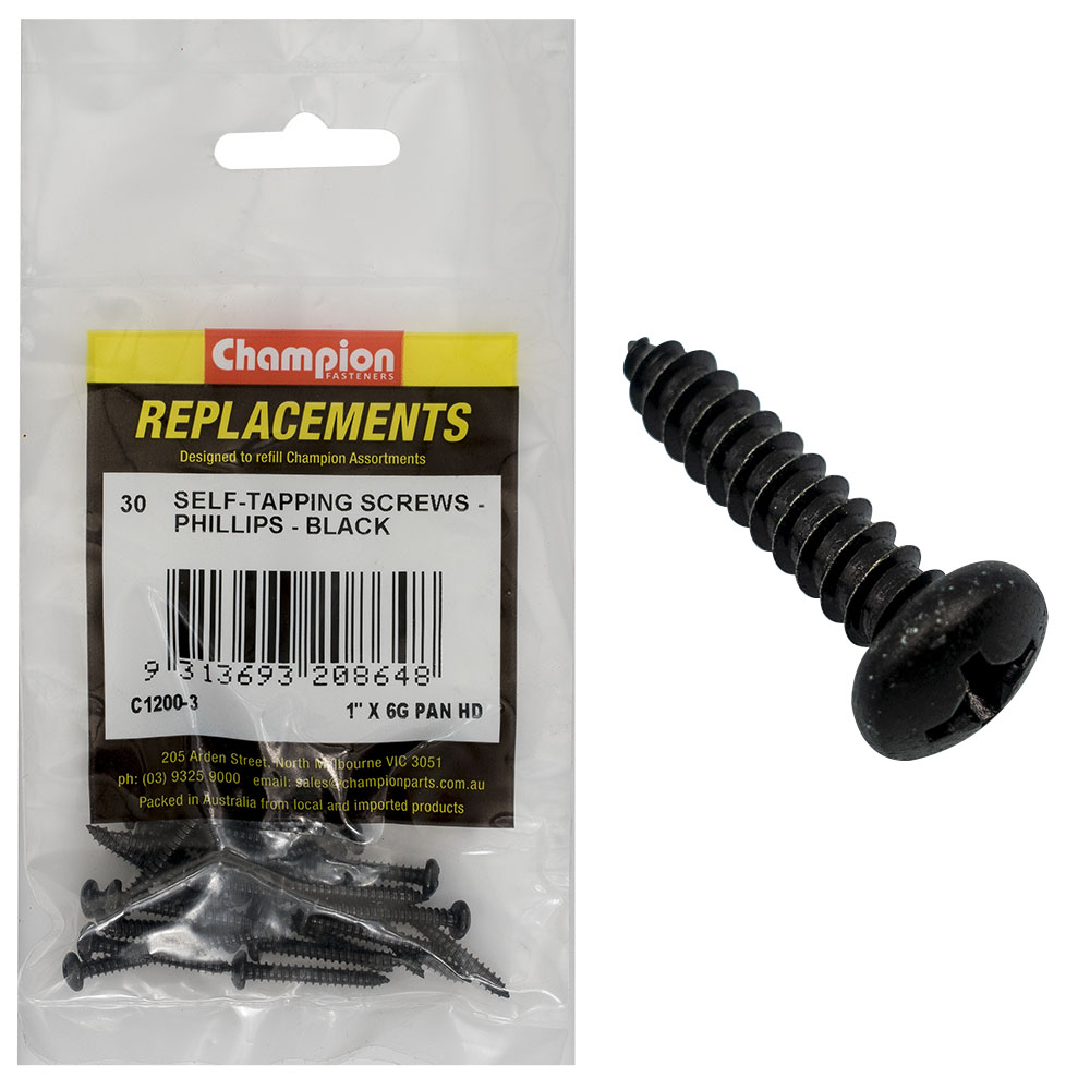 Champion 3.5 x 25mm Self Tapping Screw Pan Head Ph -30pk