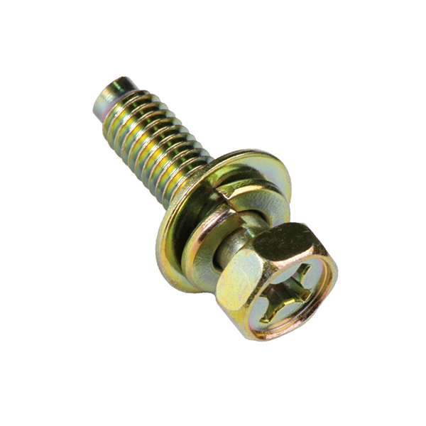 Champion M6 x 25mm Sems Hex /PH Bolt W/Spring & Flat Washer