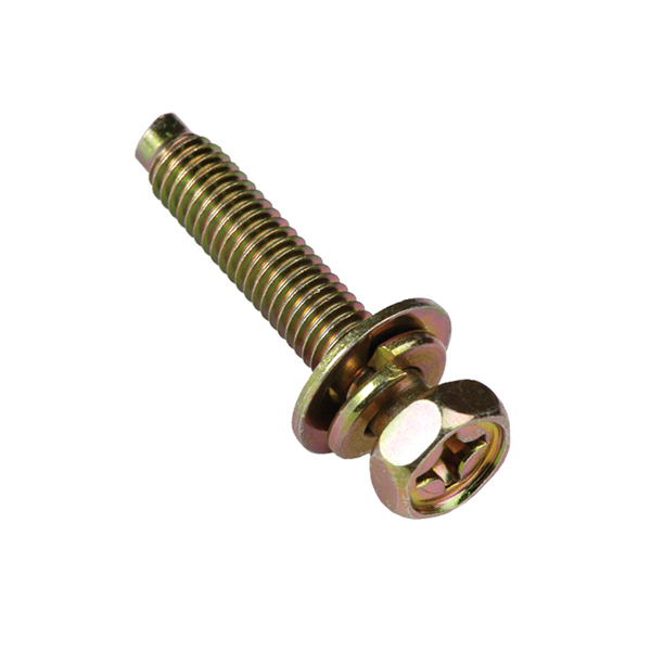 Champion M6 x 30mm Sems Hex /PH Bolt W/Spring & Flat Washer