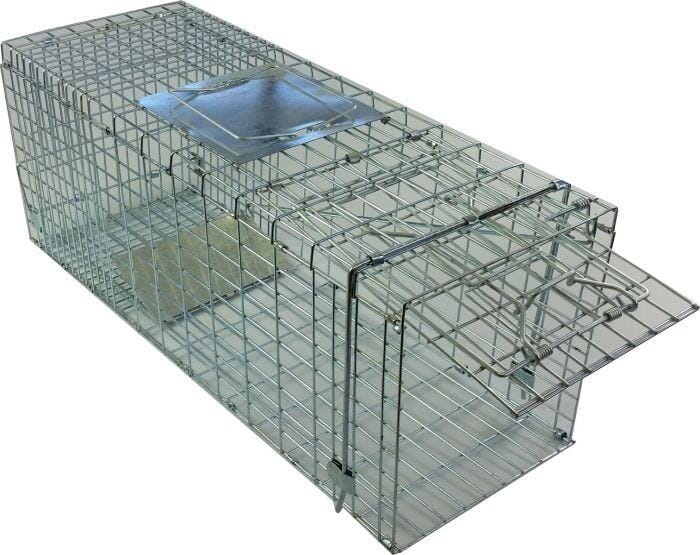 Xcel Opposum Trap - Folding Cage Type